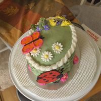 Springtime This was one of my cakes for a Wilton cake decorating class. The butterfly and ladybug are made out of colorflow; flowers are royal icing;...