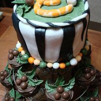 Baby Shower Safari This is a 2 layer 6 inch vanila cake and chocolate cupcakes I made for a friends safari themed baby shower. The "E" is for the...