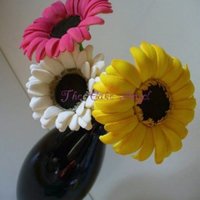Gerberas Made entirely from gumpaste. Each gerbera is approximately 4 inches in diameter.