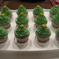 Christmas Tree Cupcakes I got this idea from others on CC. I made these for a bake-off we had at work as part of our Christmas luncheon. I got honorable mention....