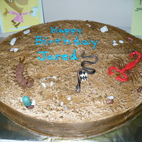 Desert Cake I made this cake on the fly..My son kept me guessing on what he wanted until the last minute, so I put a cake in front of us and we started...