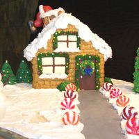 Christmas House Cake Santa may not make all his deliveries this year...seems he's stuck in the chimney!This one was time consuming, but very fun!