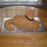 Orange Cat Cake Our adorable orange cat, Cody, was a willing model. This was a pound cake made in the 3D lamb pan. He's covered with star tips only...