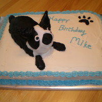 Boston Terrier Cake This is a replica of my brother-in-law's Boston terrier. Keeping the head on was tricky.