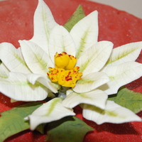 Christmas Pointsettia This cake was for a customer that wanted a cake for their family Christmas dinner. All BC iced and decorated and white gumpaste pointsettia...