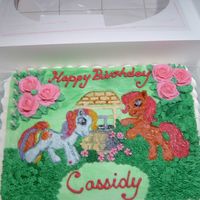My Little Pony A little girl requested this cake. I freehanded everything on the cake....