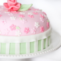 Pretty Daisies I made this whimsical cake for my mom... which was inspired by her gift bag!! Happy Birthday Mom!! :)