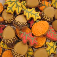 Autumn Mini Cookies 5 different designs, iced in Royal Icing. This was my first attempt.