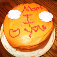 Mom's Birthday Cake Chocolate chip cake with orange frosting and a pink royal icing rose that my mom had left over. I made it for mom's birthday, all by...