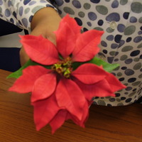 Poinsettia My second attempt at the poinsettia. Hope you like it.