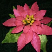 Poinsettia Gumpaste poinsettia. Thanks for viewing.