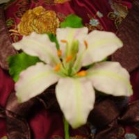 Lily Gum paste lily, just experimenting with colour. Thanks for viewing.