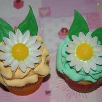 Daisey Cupcakes I made a dozen of these cupcakes for a friends birthday.