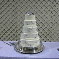 Img_0500.jpg My first wedding cake. Thanks to Leahs for all her help with the SPS system. I believe that helped a lot in keeping the cake safe during...