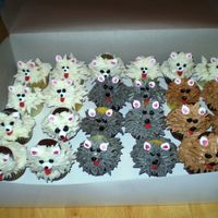 Puppies These were inspired by both bdrider and the Hello Cupcake book. For a little girls birthday that was puppy themed.