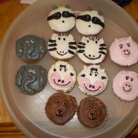Animal Cupcakes I did these just for fun because they were sooo cute. Thank you cocobean for an amazing inspiration, no where near as good as yours!