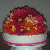 Daisy Cake gerbera daisies on white w/ buttercream