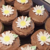 Daisys Some cup cakes with my first fondant flowers. I enjoyed making them tho it took for ever. thanks for looking.