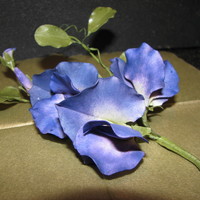 Sweatpea I love the dark coloured sweatpeas. I had one like this in my garden so I took it apart and worked from templates.