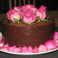 Chocolate Collar With Fresh Roses Feeling slightly more confident with the collars.