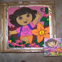 Dora birthday cake is exact copy of the napkin used at the party. Entire cake was hand drawn and completely piped in buttercream