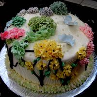 Img_0217.jpg Swiss Buttercream Cake