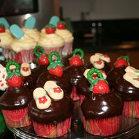 Candy Cupcakes Vanilla cupcakes with buttercream icing dipped in white chocolate ganache or with semi sweet choc fudge icing dipped in choc ganache....