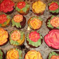 Rose Cupcakes Rose cupcakes in buttercream icing accented with petal dustTFL