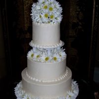 Simple Cake 12, 9, 6 iced with buttercream and decorated with fresh daisies