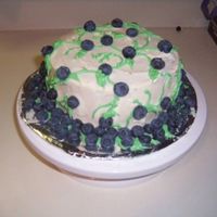 Blueberry Patch I made this for my blueberry loving husband's birthday and torted it with homemade blueberry preserves. I iced it with creamcheese...