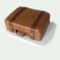 Suitcase Well what a better way to travel for a nice summer holiday then an old suitcase...