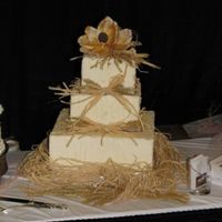 Rustic Wedding Simple, rustic look. The butter creme icing is off-white (from the Mexican vanilla) and intentionally left rough. Bows are made from rafia...