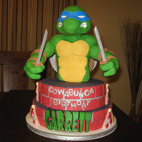 Teenage Mutant Ninja Turtle Cake TURTLE IS MADE OF RICE KRISPIE TREATS COVERED IN FONDANT. I USED 1/2 PVC FOR MAKING A FRAME TO MOLD ONTO AND USED 1/2" PVC TO RUN...