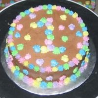 Birthday Girl Cake This cake was the birthday girl cake to go with the puppy paw cake. All decorations are buttercream.