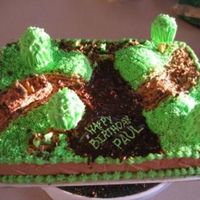 Off Road Trail All frosting is buttercream. The trees are big marshmellows put on pretzel rods and frosted, the mud puddle and trail are graham cracker...