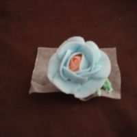 Blue Rose I just am posting this to see if anyone has any suggestions as to what to do to improve how my roses look. Thanks for your advice. Happy...