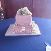 Groom's Cake This cake was a chocolate cake with peanut butter filling and a chocolate fudge buttercream.