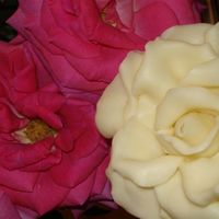 Chocolate Clay Rose This was my first white chocolate clay rose. I really really loved this even more than gumpaste. It's so pliable. I later colored it...