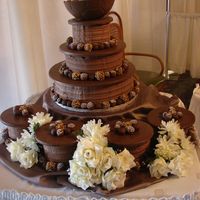 Cakes_007.jpg CSM. This was made for a bridal show- it was a hit with the brides-to-be and the other vendors. :) Idea adapted from the Wilton website....