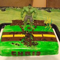 Incredible Hulk Cake Birthday Cake for my 4 year old nephew...He was so excited when he saw the cake---Everyone just loved it! I put a lot of hours into it!