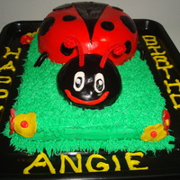 Lady Bug Lady Bug Cake for my cousin Angie's 35th Birthday!
