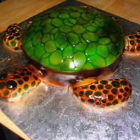 Sea Turtle My frist time using an airbrush