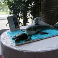 Shark And Sea Turtle Very different style wedding cake for me