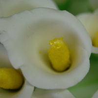 Calla Lily Cake Calla Lily Cake with Gum Paste and Fondant