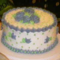 After Decorating This is what the cake looked like when I was through decorating it. Of course I used buttercream. And I just did a combination of all the...