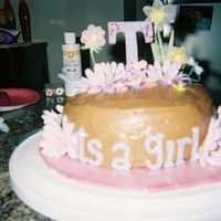 Amber2.jpg This is really my 2nd attempt. I made this for a good friend at work. Choc/fudge cake with choc/whipped cream/pudding icing, it was very...