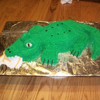 Florida Gator Eating A Tennessee Jersey I don't know how I pulled this off. I put the gator together from a 9x13 sheet cake and the eyes and jersey are fondant. It was a...