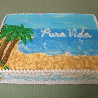 Maria's Grad Cake / Off To Costa Rica My friend's daughter had just graduated from the university and was also going away for one year to CostaRica to teach. She wanted...