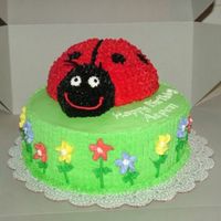 3-D Ladybug Cake Two layers 9" round cake, using 50% Less Sugar cake mix per customer's request. Ladybug was made using 1 Sportsball pan and...