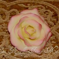 White Chocolate Rose White modeling chocolate rose with pink luster dust on the petal edges. TFL
